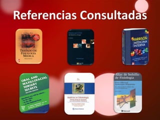 Referencias Consultadas
 
