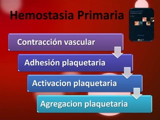 Hemostasia Primaria
 Contracción vascular

  Adhesión plaquetaria

    Activacion plaquetaria

      Agregacion plaquetaria
 