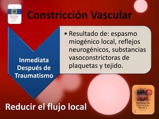 Constricción Vascular
                • Resultado de: espasmo
                  miogénico local, reflejos
                  neurogénicos, substancias
    Inmediata     vasoconstrictoras de
   Después de     plaquetas y tejido.
  Traumatismo



Reducir el flujo local
 