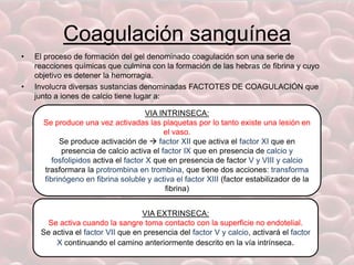 Coagulación sanguínea
• El proceso de formación del gel denominado coagulación son una serie de
reacciones químicas que culmina con la formación de las hebras de fibrina y cuyo
objetivo es detener la hemorragia.
• Involucra diversas sustancias denominadas FACTOTES DE COAGULACIÓN que
junto a iones de calcio tiene lugar a:
VIA INTRINSECA:
Se produce una vez activadas las plaquetas por lo tanto existe una lesión en
el vaso.
Se produce activación de  factor XII que activa el factor XI que en
presencia de calcio activa el factor IX que en presencia de calcio y
fosfolipidos activa el factor X que en presencia de factor V y VIII y calcio
trasformara la protrombina en trombina, que tiene dos acciones: transforma
fibrinógeno en fibrina soluble y activa el factor XIII (factor estabilizador de la
fibrina)
VIA EXTRINSECA:
Se activa cuando la sangre toma contacto con la superficie no endotelial.
Se activa el factor VII que en presencia del factor V y calcio, activará el factor
X continuando el camino anteriormente descrito en la vía intrínseca.
 