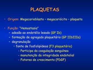 PLAQUETAS
• Origem: Megacarioblasto – megacariócito – plaqueta
• Função: “Hemostasia”
– adesão ao endotélio lesado (GP Ib)
– formação de agregado plaquetário (GP IIbIIIa)
– degranulação
• fonte de fosfolipídeos (F3 plaquetário)
­ Participa da coagulação sanguínea
­ manutenção da integridade endotelial
­ Fatores de crescimento (PDGF)

 