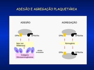 ADESÃO E AGREGAÇÃO PLAQUETÁRIA

ADESÃO

GPIb

AGREGAÇÃO

GPIIb/IIIa

GPIb

fator von
Willebrand

fibrinogênio

células
endoteliais

Colágeno
Glicosaminoglicanos

GPIIb/IIIa

GPIb

GPIIb/IIIa

 