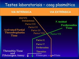 Testes laboratoriais – coag plasmática
VIA INTRÍNSICA

VIA EXTRÍNSICA

F. tecidual

 