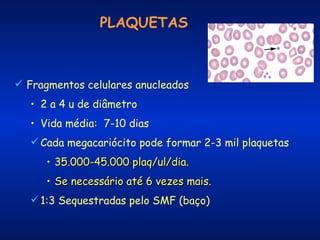 PLAQUETAS

 Fragmentos celulares anucleados
• 2 a 4 u de diâmetro
• Vida média: 7-10 dias
 Cada megacariócito pode formar 2-3 mil plaquetas
• 35.000-45.000 plaq/ul/dia.
• Se necessário até 6 vezes mais.
 1:3 Sequestradas pelo SMF (baço)

 