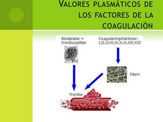 VALORES PLASMÁTICOS DE
LOS FACTORES DE LA
COAGULACIÓN

 