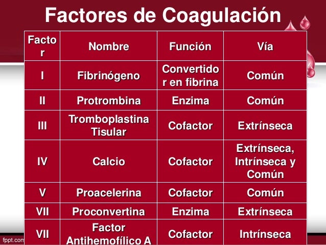 Nombre De Los Factores De Coagulacion