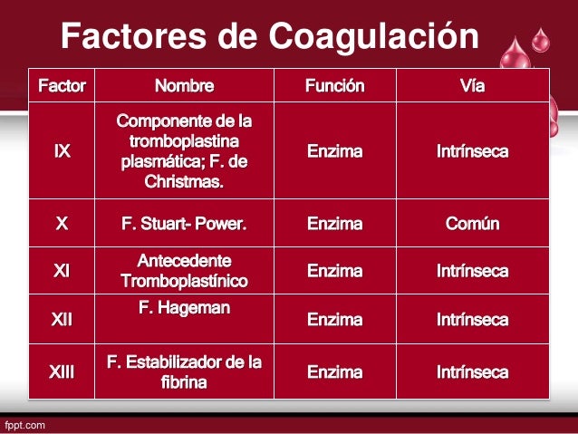 Fisiología: Hemostasia y Coagulación