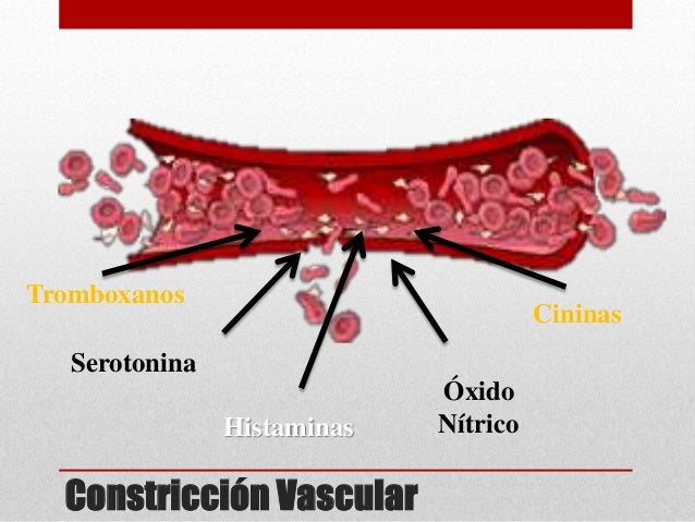 Hemostasia
