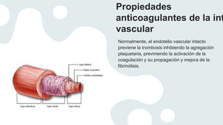 Propiedades
anticoagulantes de la int
vascular
Normalmente, el endotelio vascular intacto
previene la trombosis inhibiendo la agregación
plaquetaria, previniendo la activación de la
coagulación y su propagación y mejora de la
fibrinólisis.
 
