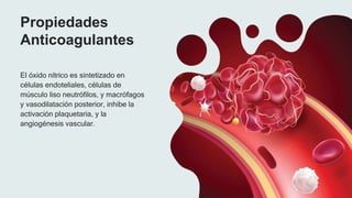 Propiedades
Anticoagulantes
El óxido nítrico es sintetizado en
células endoteliales, células de
músculo liso neutrófilos, y macrófagos
y vasodilatación posterior, inhibe la
activación plaquetaria, y la
angiogénesis vascular.
 