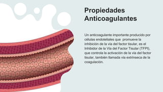 Propiedades
Anticoagulantes
Un anticoagulante importante producido por
células endoteliales que promueve la
inhibición de la vía del factor tisular, es el
Inhibidor de la Vía del Factor Tisular (TFPI),
que controla la activación de la vía del factor
tisular, también llamada vía extrínseca de la
coagulación.
 