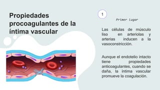 Propiedades
procoagulantes de la
íntima vascular Las células de músculo
liso en arteriolas y
arterias inducen a la
vasoconstricción.
Aunque el endotelio intacto
tiene propiedades
anticoagulantes, cuando se
daña, la íntima vascular
promueve la coagulación.
1
Primer lugar
 
