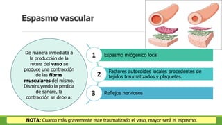 mobility training for athletes