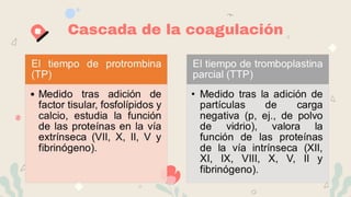 Cascada de la coagulación
 