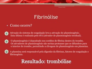 Vanessa Cunha

Fibrinólise
• Como ocorre?
1

Ativação do sistema de coagulação leva a ativação do plasminogênio.
Esta última é realizada pelo tPA (ativador de plasminogênio tecidual).

2

O plasminogênio é depositado nos cordões de fibrina dentro do trombo.
Os ativadores de plasminogênio são serina-proteases que se difundem para
o interior do trombo, permitindo a clivagem do plasminogênio em plasmina.

3

A plasmina será responsável pela digestão da fibrinas, fatores de coagulação e
fibrinogênio.

 