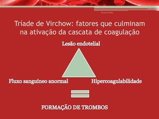 Vanessa Cunha

Tríade de Virchow: fatores que culminam
na ativação da cascata de coagulação

 