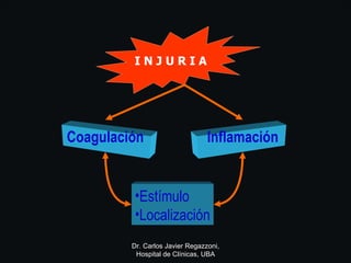 I N J U R I A Coagulación Inflamación <ul><li>Estímulo </li></ul><ul><li>Localización </li></ul>Dr. Carlos Javier Regazzon...