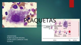 PLAQUETAS
FORMACIÓN, FUNCION, FISIOLOGIA,RECEPTORES INVOLUCRADOS EN HEMOSTASIA
HEMOSTASIA
RUBEN SALAZAR MOLINA
LAURA EDITH CARREON TORIZ
05/04/21
 