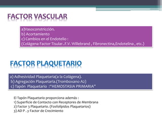 a)Vasoconstricción.
b) Acortamiento
c) Cambios en el Endotelio :
(Colágena Factor Tisular..F.V. Willebrand , Fibronectina,Endotelina , etc.)
a) Adhesividad Plaquetaria(a la Colágena).
b) Agregación Plaquetaria.(Tromboxano A2)
c) Tapón Plaquetario :“HEMOSTASIA PRIMARIA”
El Tapón Plaquetario proporciona además :
1) Superficie de Contacto con Receptores de Membrana
2) Factor 3 Plaquetario. (Fosfolípidos Plaquetarios)
3) AD P . y Factor de Crecimiento
 