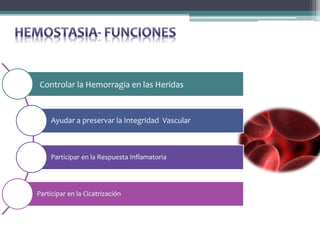 Controlar la Hemorragia en las Heridas
Ayudar a preservar la Integridad Vascular
Participar en la Respuesta Inflamatoria
Participar en la Cicatrización
 