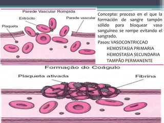 Concepto: proceso en el que la
formación de sangre tampón
sólido para bloquear vaso
sanguíneo se rompe evitando el
sangrado.
Pasos: VASOCONTRICCAO
HEMOSTASIA PRIMARIA
HEMOSTASIA SECUNDARIA
TAMPÃO PERMANENTE
 
