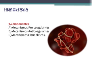 3.Componentes
A)Mecanismos Pro coagulantes
B)Mecanismos Anticoagulantes
C)Mecanismos Fibrinolíticos
 