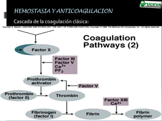 Se retrae 20 a 60 min.