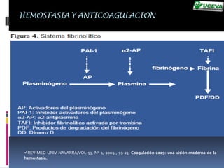 III	FACTOR HÍSTICO, TROMBOPLASTINA HÍSTICA,  FACTOR  TISULAR.