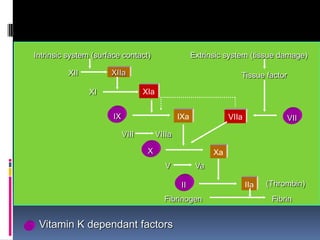 XIII	F. ESTABILIZANTE DE LA FIBRINA (FSF), FIBRINASA, F. DE LAKI-LORAND.HEMOSTASIA Y ANTICOAGULACIONCascada de la coagulación clásica: