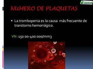 El complejo FT/VII no sólo activa el factor X, sino también el factor IX.