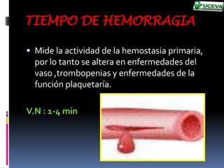 Llegándose a la conclusión de que la vía extrínseca sería la de mayor relevancia fisiopatológica in vivo.