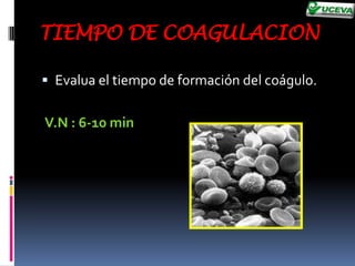 Fase  de iniciación.