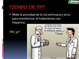 Fase de amplificación.