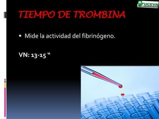 Fase de propagación.