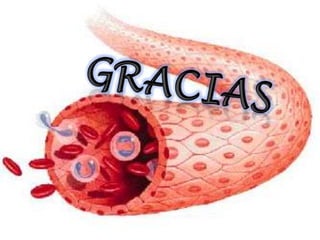 Sitio de ensamblaje de sustrato protrombina. 