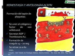 Formación de tapón de plaquetas.