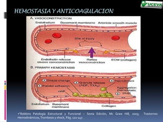 Formación de coagulo.