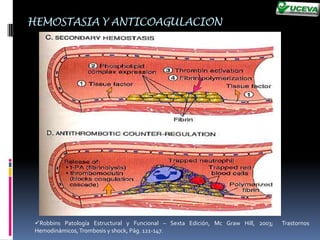 Proliferación final de tejido fibroso.
