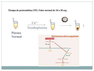 Hemostasia y coagulación. | PPTX