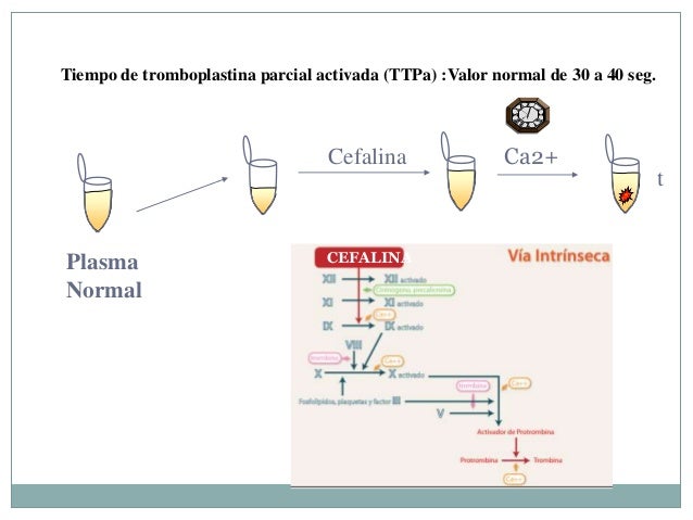 Hemostasia y coagulación.