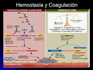 Hemostasia y Coagulación
 