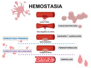 Hemostasia y coagulacion | PPTX