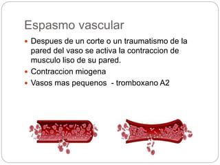 Hemostasia y coagulacion sanguinea | PPTX