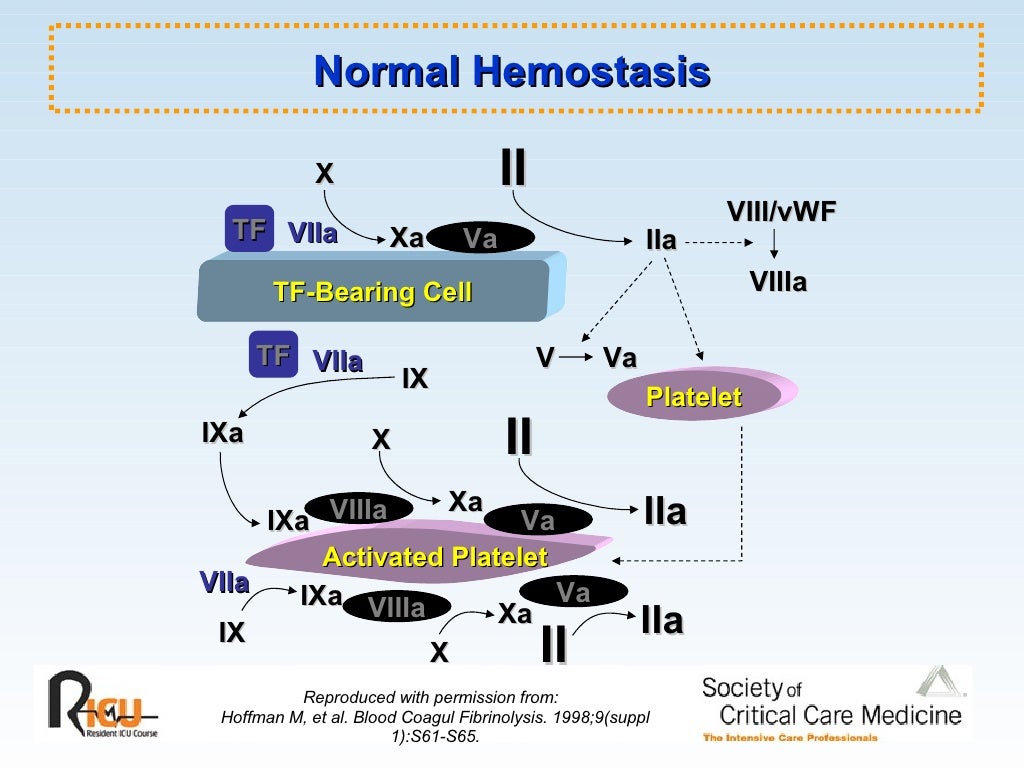 Hemostasis