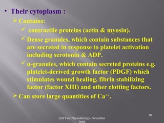 2nd Year Physiotherapy- November
2008
10
• Their cytoplasm :
 Contains:
 contractile proteins (actin & myosin).
Dense granules, which contain substances that
are secreted in response to platelet activation
including serotonin & ADP.
α-granules, which contain secreted proteins e.g.
platelet-derived growth factor (PDGF) which
stimulates wound healing, fibrin stabilizing
factor (factor XIII) and other clotting factors.
 Can store large quantities of Ca++
.
 
