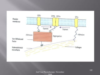 2nd Year Physiotherapy- November
2008
121212
 