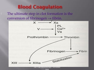 2nd Year Physiotherapy- November
2008
16
 The ultimate step in clot formation is the
conversion of fibrinogen → fibrin.
 