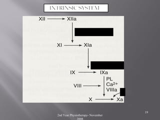 2nd Year Physiotherapy- November
2008
19
 