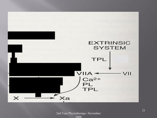 2nd Year Physiotherapy- November
2008
21
 