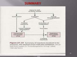 2nd Year Physiotherapy- November
2008
23
 